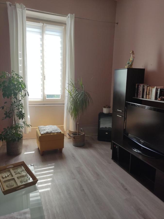 Gite Chanay 80 M2 Tournus 2 Chambres ภายนอก รูปภาพ